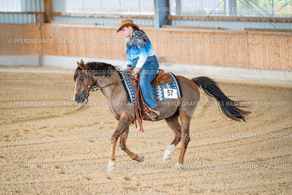 DSC01744 | Pferdegrafie