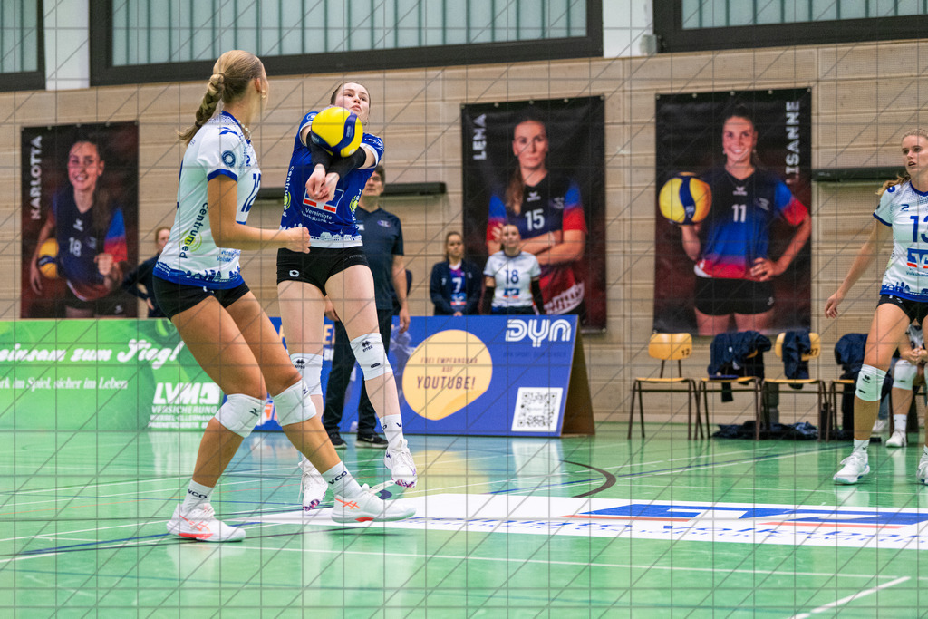 2. VBLF Nord 25/26 | Spiel 4017 | VC Osnabrück vs. Potsdam II | //  25.10.25: 2. VBLF Nord 25/26 | Spiel 4017 | VC Osnabrück vs. Potsdam II / Osnabrück / Deutschland  //   CREDIT:www.bullenfotos.de, Martin König, Hörner Weg 40, D-49078 Osnabrück, +4917663732967 // Nutzung und Weitergabe nur zu den vereinbarten Zwecken. Presseanfragen an Ersteller. Alle Rechte beim Ersteller. Honorierung nach MFM. - Realisiert mit Pictrs.com