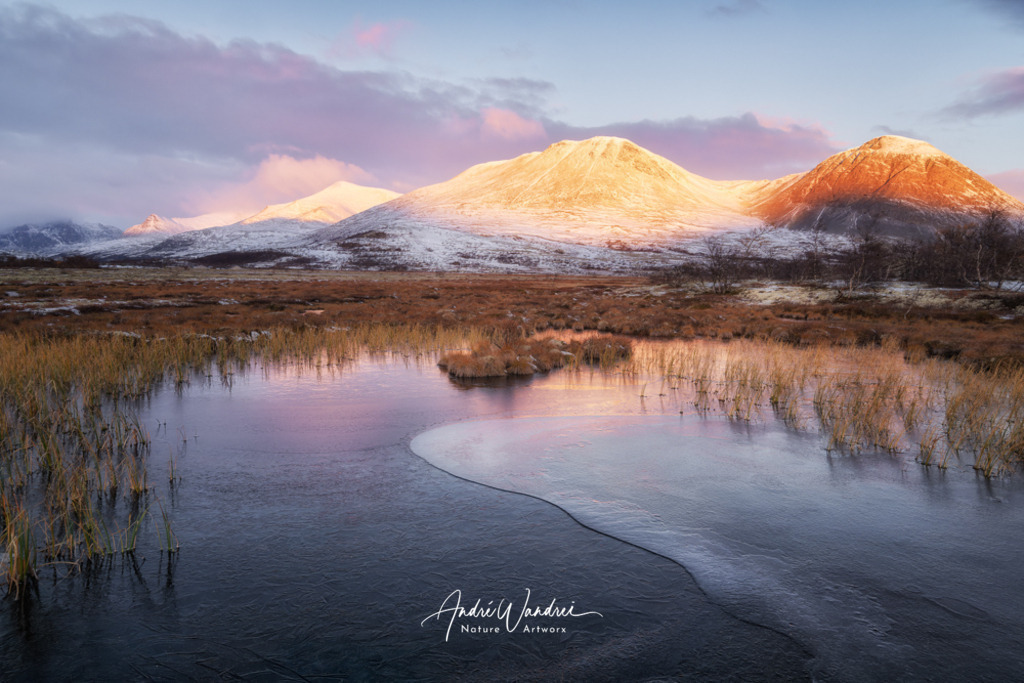 Violettes Eis | Andre Wandrei - Nature Artworx - Realisiert mit Pictrs.com