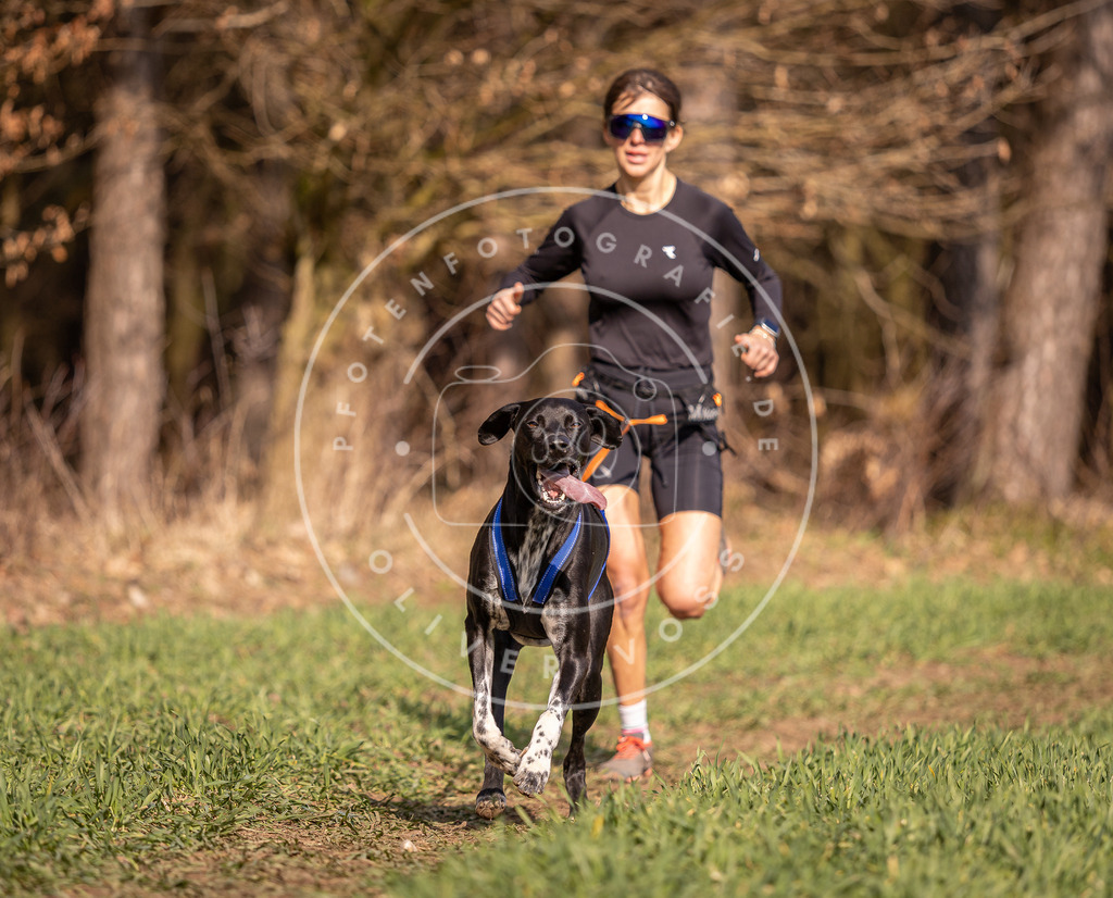 DV3A6366 | Hundefotografie, Tierfotograf, Pfotenfotografie, Fotoshooting Hund, Hunde Portrait, Hundesport, Hundeportraits, Heideshooting, Hunde, Sportfotograf, Hundefotograf, Turnierhundsport, THS,  - Realisiert mit Pictrs.com