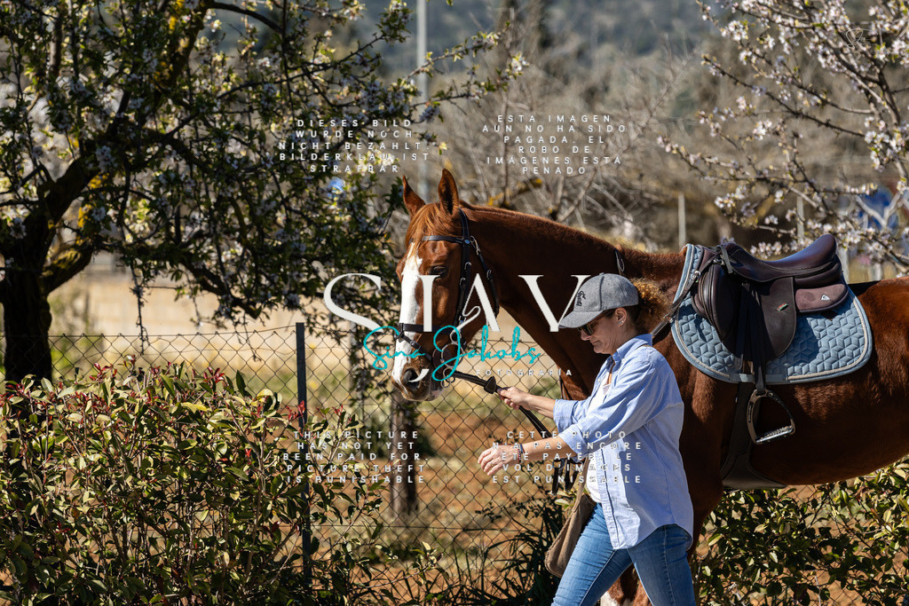 IMG_0362 | s-jay-photography - Realisiert mit Pictrs.com