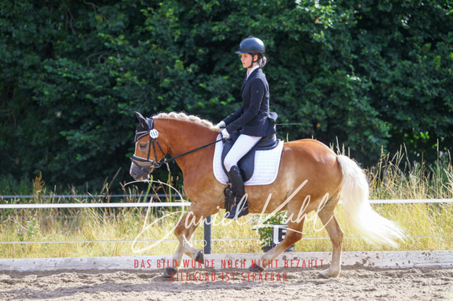 DKP45777 | Turniersportfotografie; Pferdefotografie; Dressurfotografie