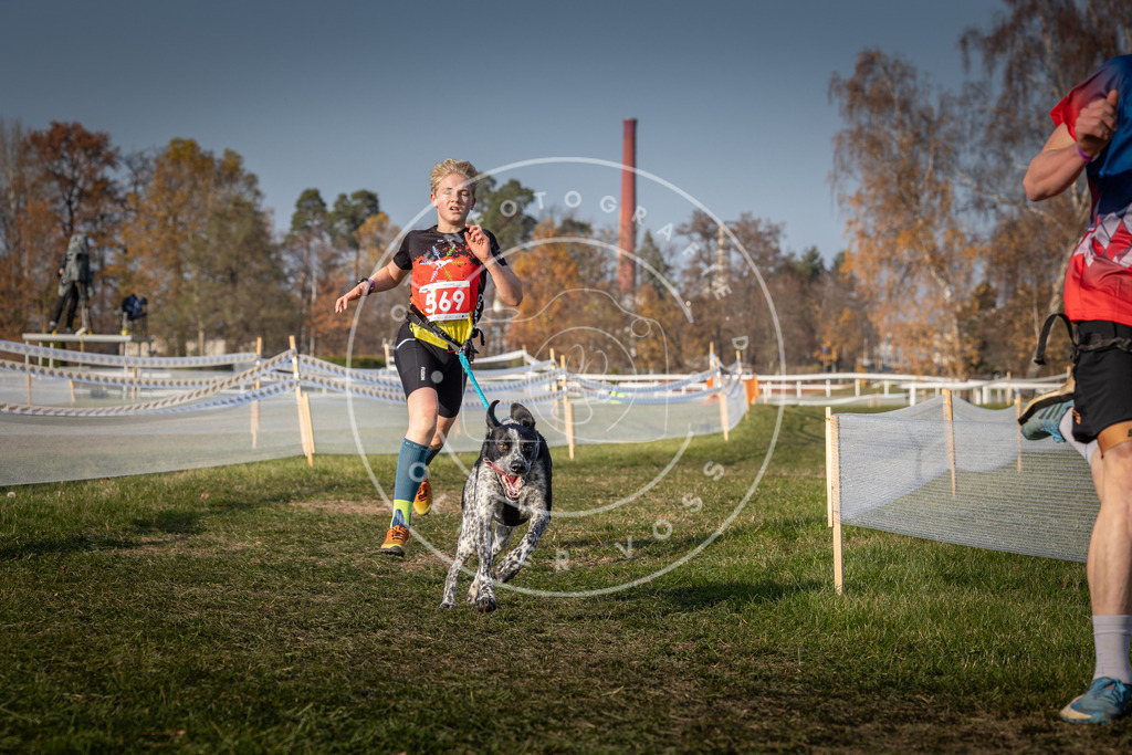 CaniXpix_0L8A9480 | Hundefotografie, Tierfotograf, Pfotenfotografie, Fotoshooting Hund, Hunde Portrait, Hundesport, Hundeportraits, Heideshooting, Hunde, Sportfotograf, Hundefotograf, Turnierhundsport, THS,  - Realisiert mit Pictrs.com