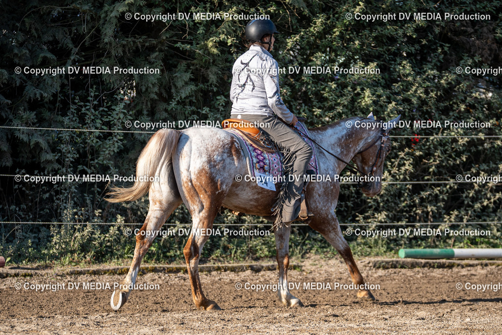 Balingen Tag 2-170 | dv-media-shop - Realisiert mit Pictrs.com