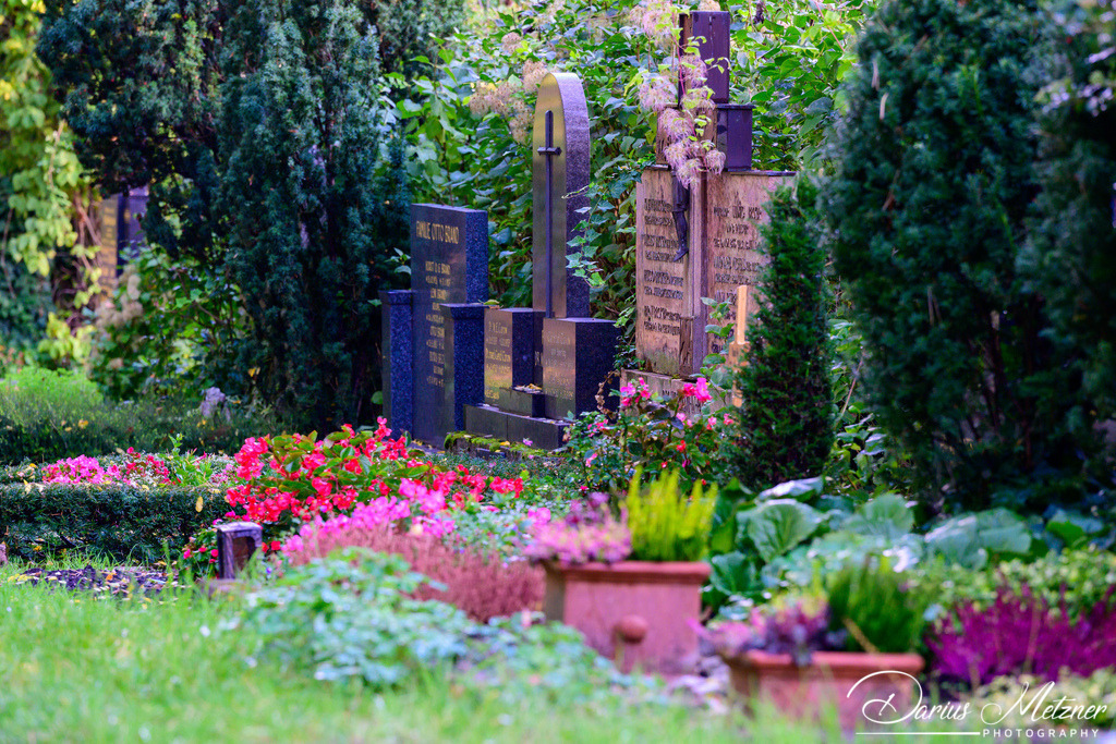 Der alte Hauptfriedhof in Mainz | Der alte Hauptfriedhof in Mainz