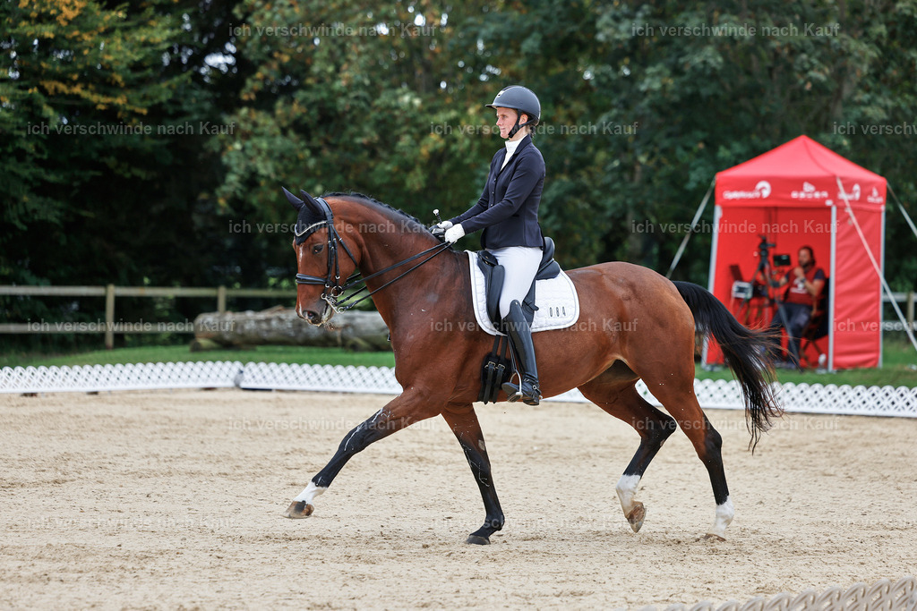 04_1-084-Dressur M__ -StoibPH-StoibPH-2659 | working equitationturnier fotograf videograf stoibphotography marixx film working equitation deutschland reitsport turnierfotografie eventfotografie equestrian events
