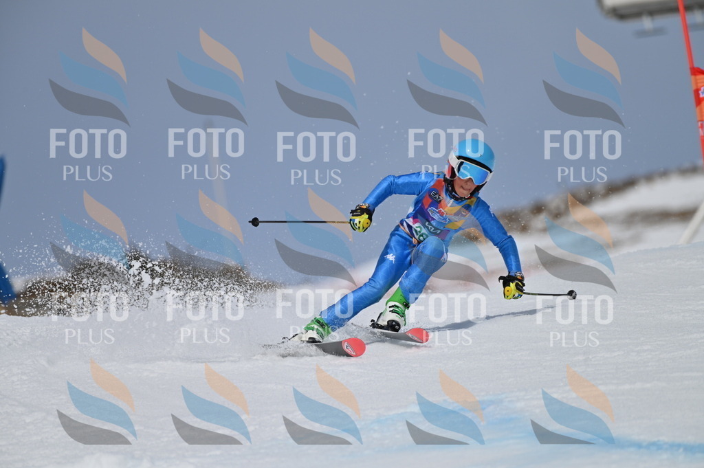 BGV_5744 | holidayphoto