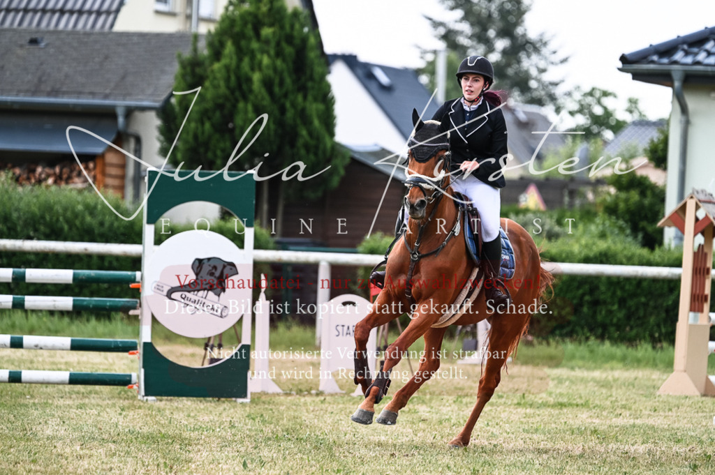 DSC_9084 | Pferde- und Turnierfotografie in Westsachsen. Pferdeportraits, Auftragszeichnungen und intuitive Kunst.