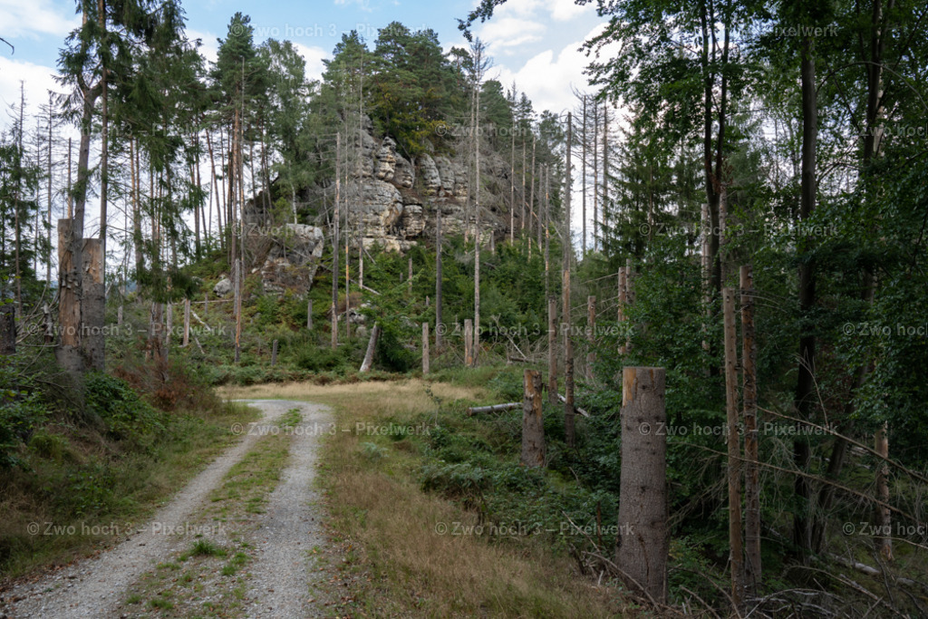 Fluegel_E_Schaeferstein_Felsen_Waldweg_Baumstumpf | 2022-08-30_Waldbrandgebiete_1 - Realisiert mit Pictrs.com