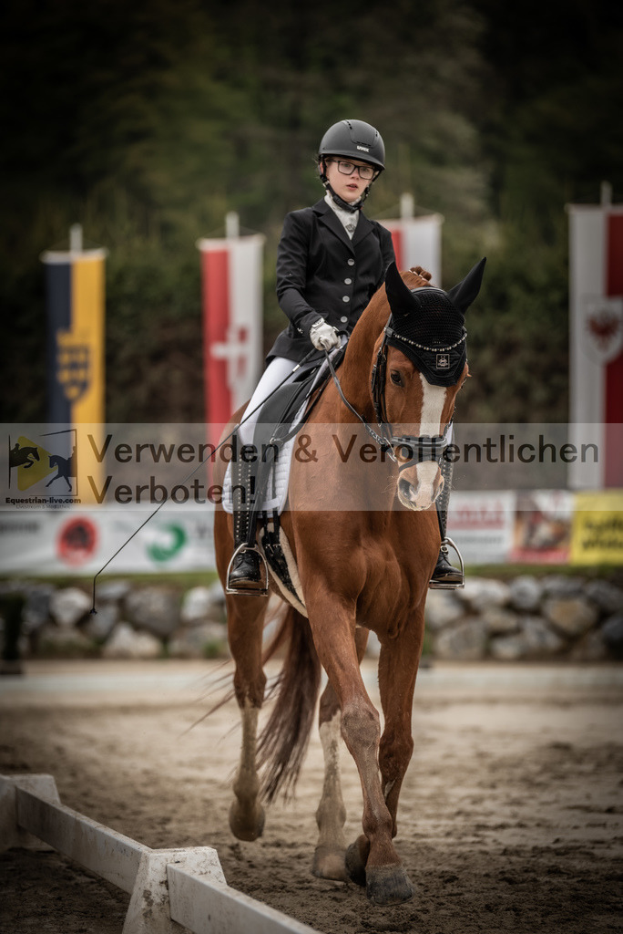 DSC_0119 | equestrian-live-com