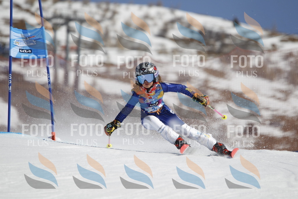 _U3G9087 | holidayphoto