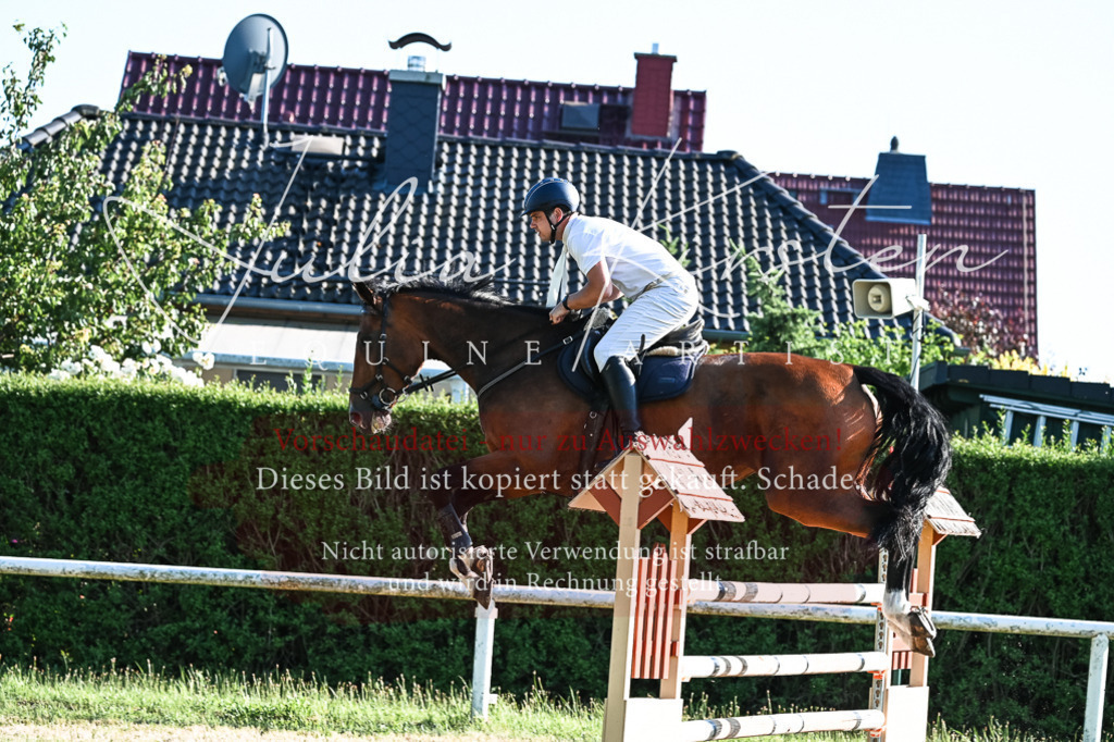 DSC_2737 | Pferde- und Turnierfotografie in Westsachsen. Pferdeportraits, Auftragszeichnungen und intuitive Kunst.