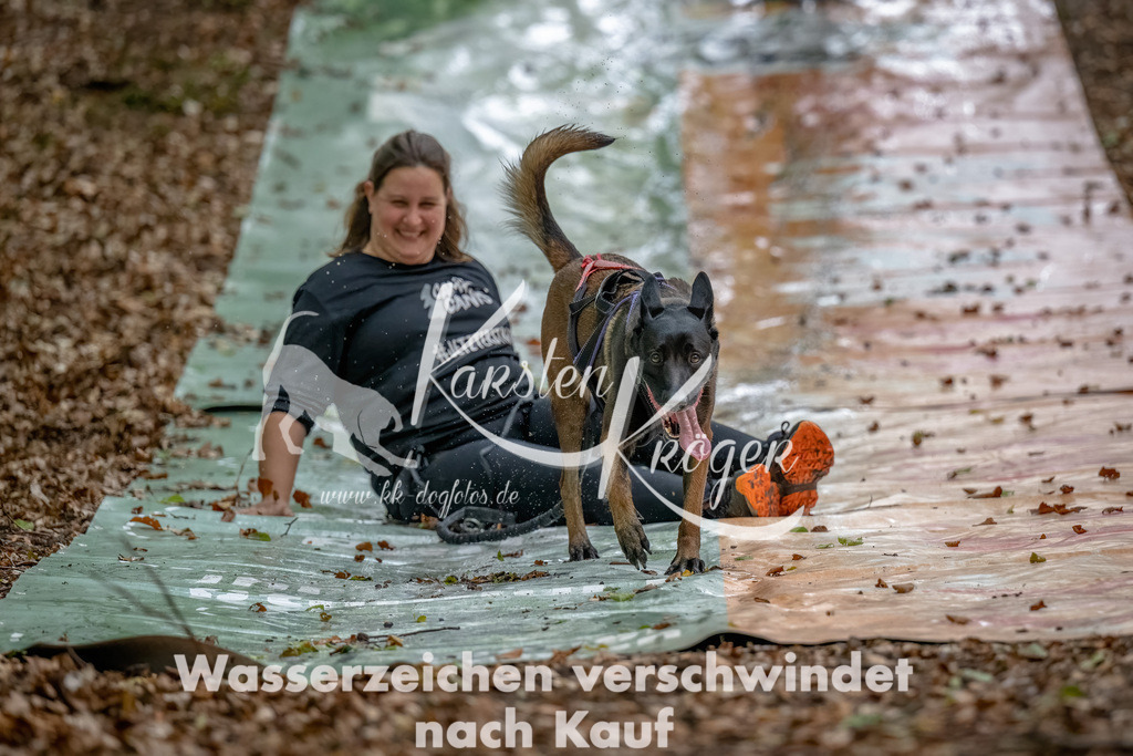0936_ZZ90511-Bearbeitet | kk-dogfotos