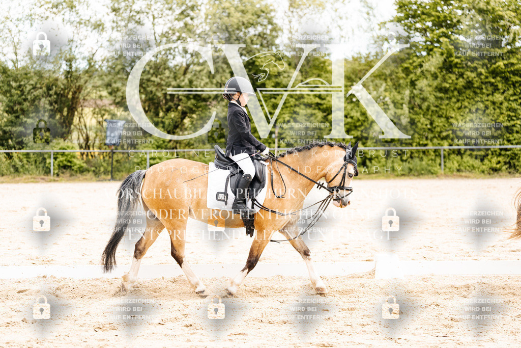 CK904473 | Turnierfotografie Pferdefotografie Trier Rheinland-Pfalz Pferdesport Reitsport Tierfotografie Sportfotografie Pferdevideo Pferdevideografie Equestrianvideography equestrianphotography  - Realisiert mit Pictrs.com