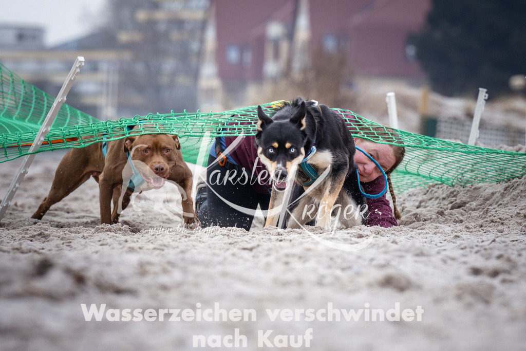 1220_ZZ93599 | kk-dogfotos