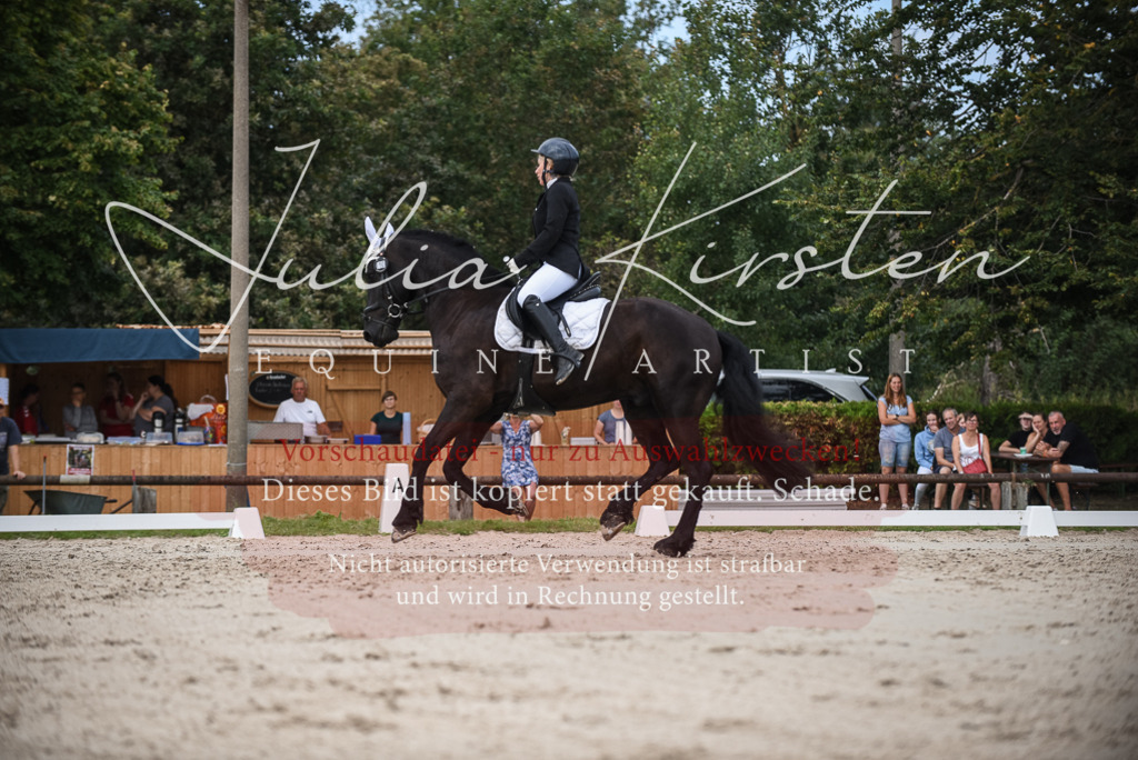 DSC_8635 | Pferde- und Turnierfotografie in Westsachsen. Pferdeportraits, Auftragszeichnungen und intuitive Kunst.
