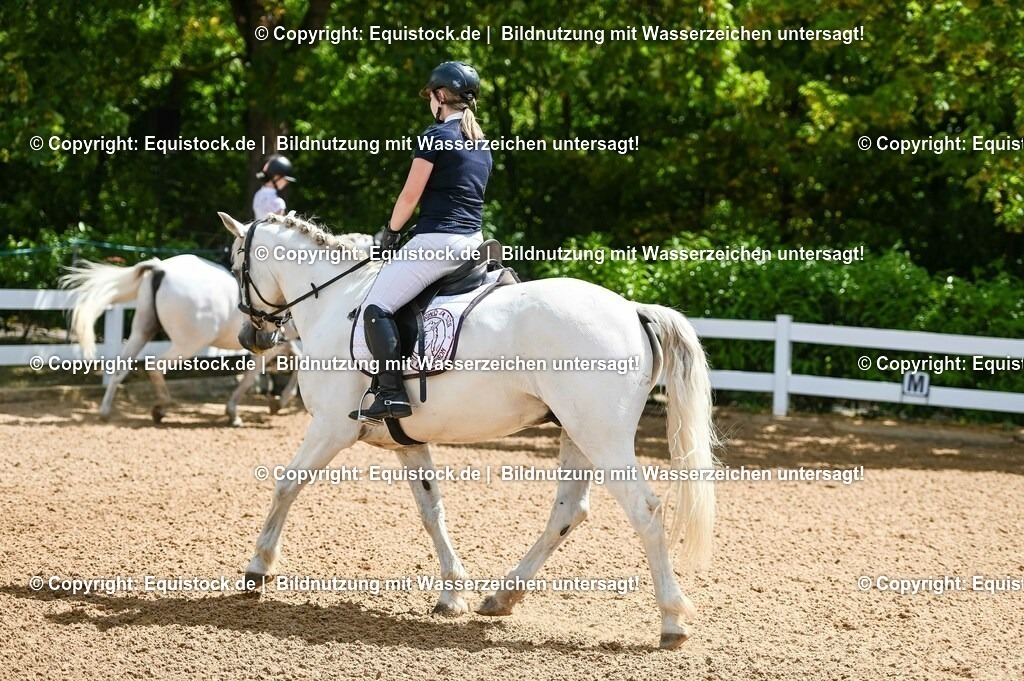20230715_09_Dressur-WB_0017 | equistock