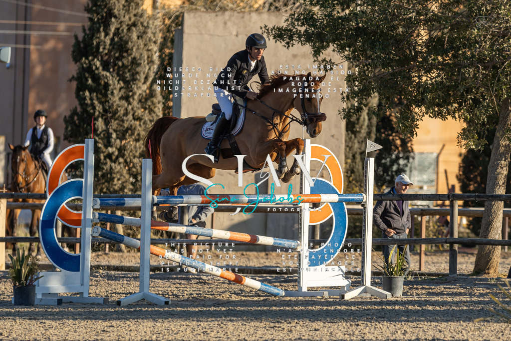 IMG_2654 | s-jay-photography - Realisiert mit Pictrs.com