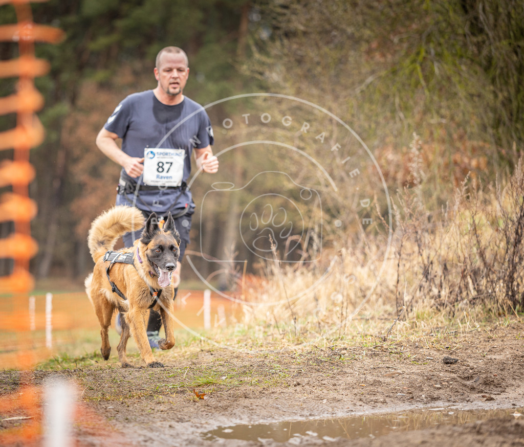 DV3A0368 | Hundefotografie, Tierfotograf, Pfotenfotografie, Fotoshooting Hund, Hunde Portrait, Hundesport, Hundeportraits, Heideshooting, Hunde, Sportfotograf, Hundefotograf, Turnierhundsport, THS,  - Realisiert mit Pictrs.com