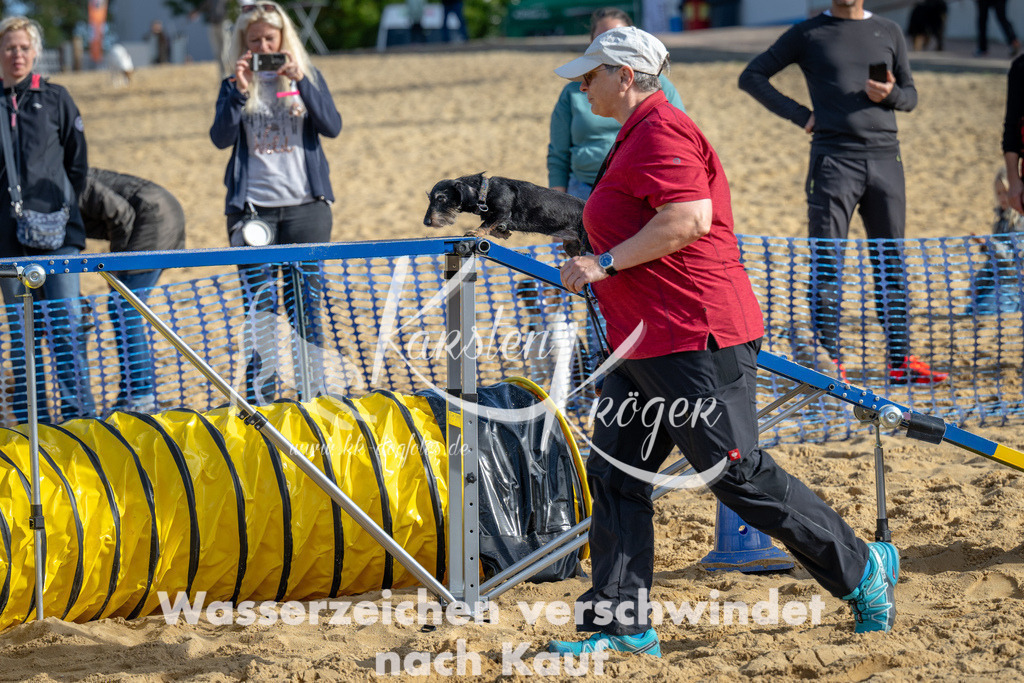 1100_ZZ90038 | kk-dogfotos