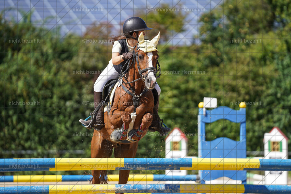 20240824-FAH08343 | Thierhaupten 2024, Bayerisches Landesponyturnier, Turnierbilder, Ponybilder, Turnierfotografen Bayern, Fotoagentur Herrmann