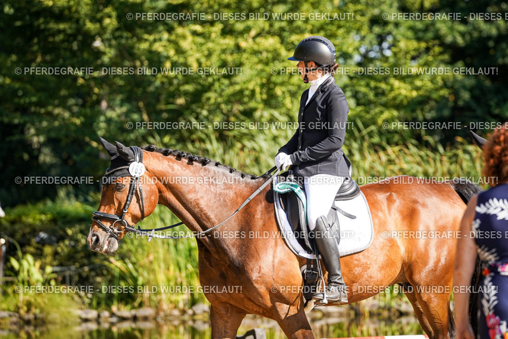 DSC00273 | Pferdegrafie