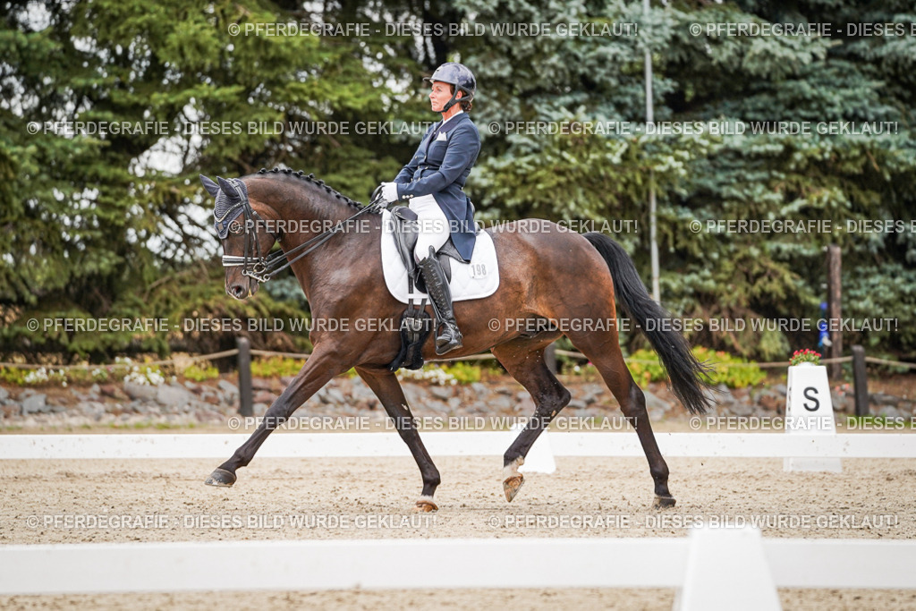 DSC07375 | Pferdegrafie