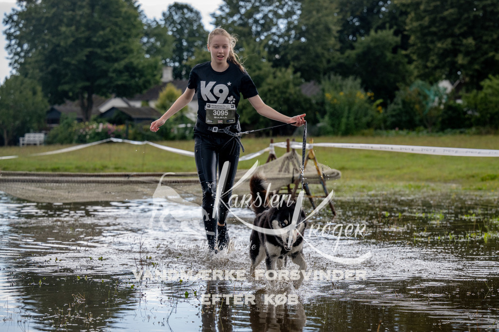 1401_ZZ90842 | kk-dogfotos