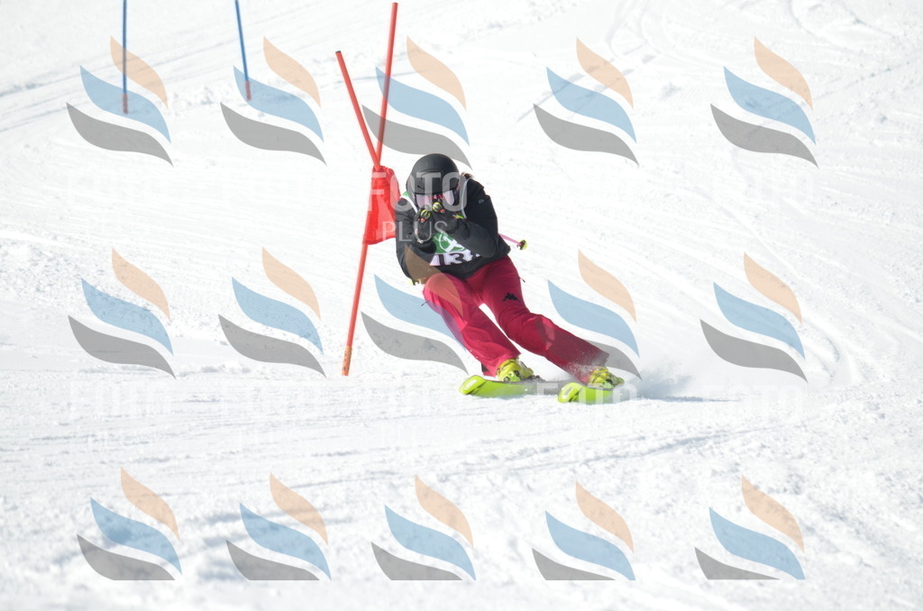 D9194 | holidayphoto