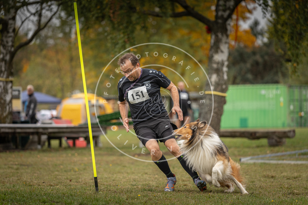 Pfotenfotografie_DV3A6134 | Hundefotografie, Tierfotograf, Pfotenfotografie, Fotoshooting Hund, Hunde Portrait, Hundesport, Hundeportraits, Heideshooting, Hunde, Sportfotograf, Hundefotograf, Turnierhundsport, THS,  - Realisiert mit Pictrs.com