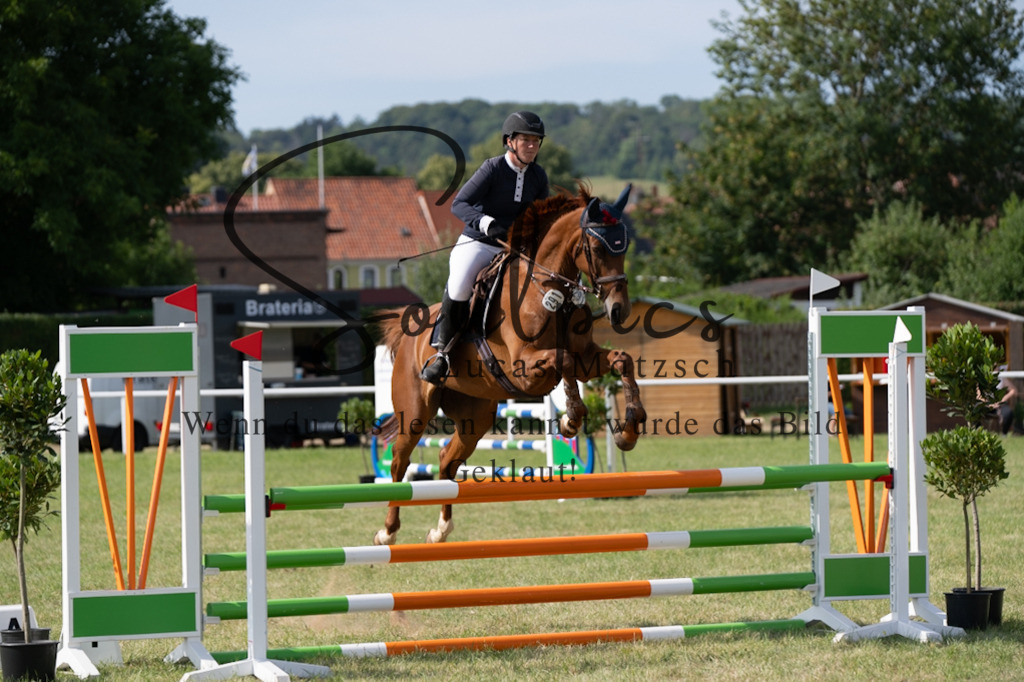 A7V01480 | Pferdefotograf