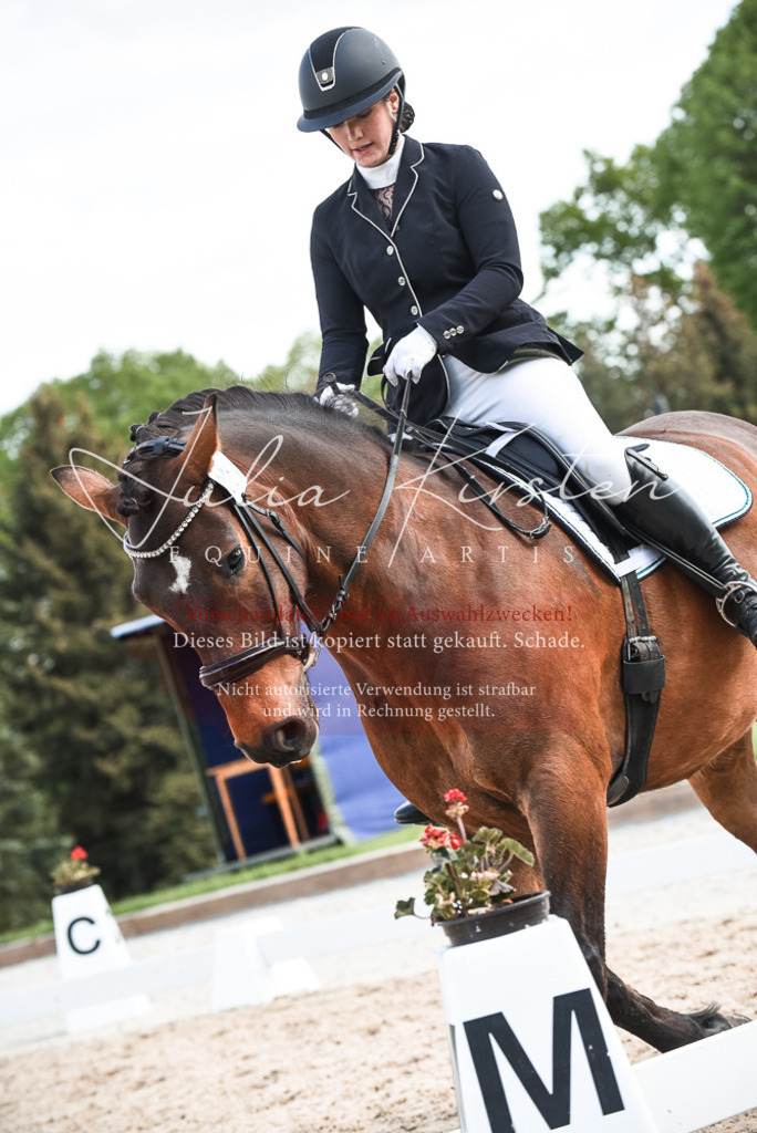 20230518_JK-Röhrsdorf-12-0484 | Pferde- und Turnierfotografie in Westsachsen. Pferdeportraits, Auftragszeichnungen und intuitive Kunst.
