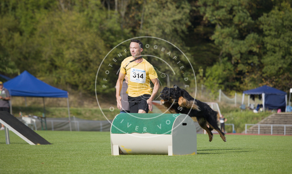 0L8A3823 | Hundefotografie, Tierfotograf, Pfotenfotografie, Fotoshooting Hund, Hunde Portrait, Hundesport, Hundeportraits, Heideshooting, Hunde, Sportfotograf, Hundefotograf, Turnierhundsport, THS,  - Realisiert mit Pictrs.com