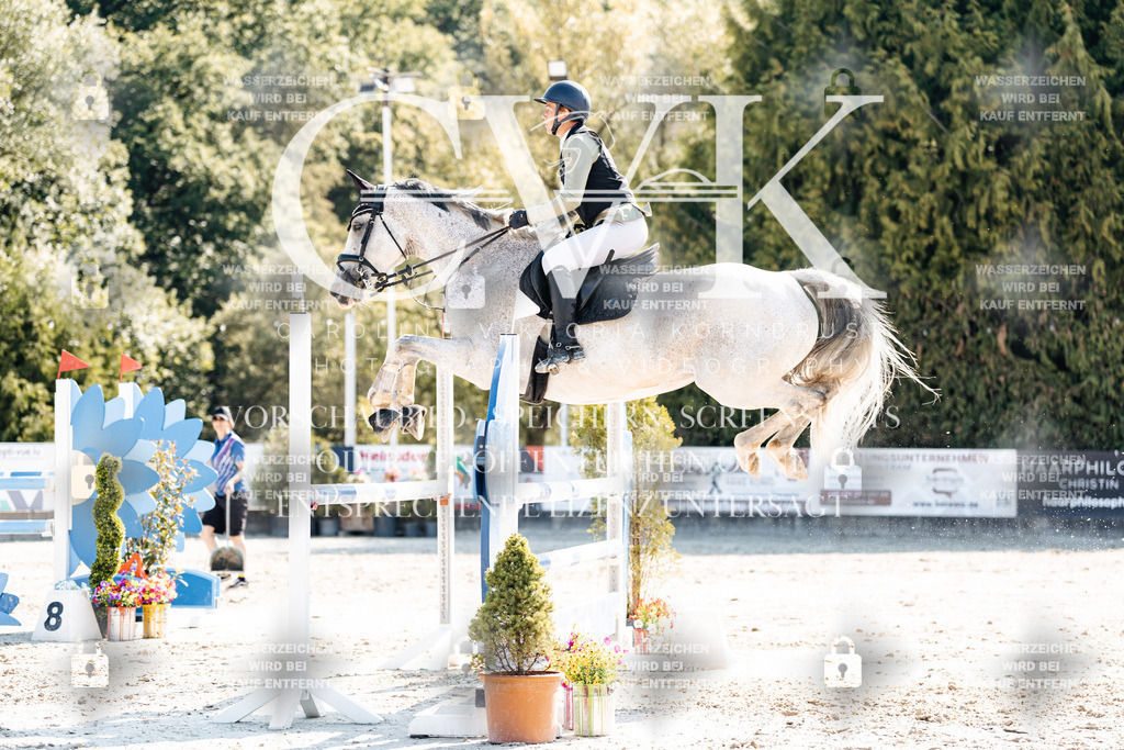 CK902573 | Turnierfotografie Pferdefotografie Trier Rheinland-Pfalz Pferdesport Reitsport Tierfotografie Sportfotografie Pferdevideo Pferdevideografie Equestrianvideography equestrianphotography  - Realisiert mit Pictrs.com