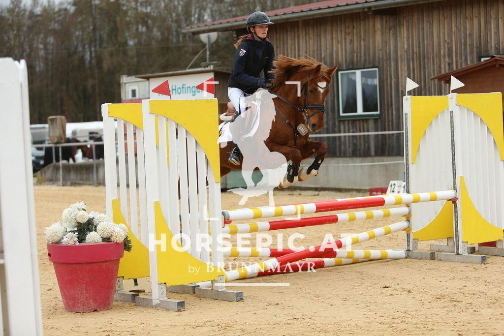 DL2Q1663 | Willkommen bei Brunnmayr - Design & Fotografie – Ihrem Spezialisten für Reitturniere und Pferdeveranstaltungen in Oberösterreich, Salzburg und Bayern! Seit über 17 Jahren sind wir leidenschaftlich dabei.