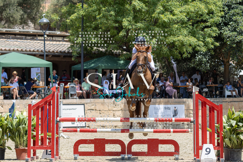 IMG_6911 | s-jay-photography - Realisiert mit Pictrs.com