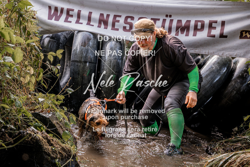 nelerasche_Hunsrück2026_Sa1400-1500_210 | nelerasche