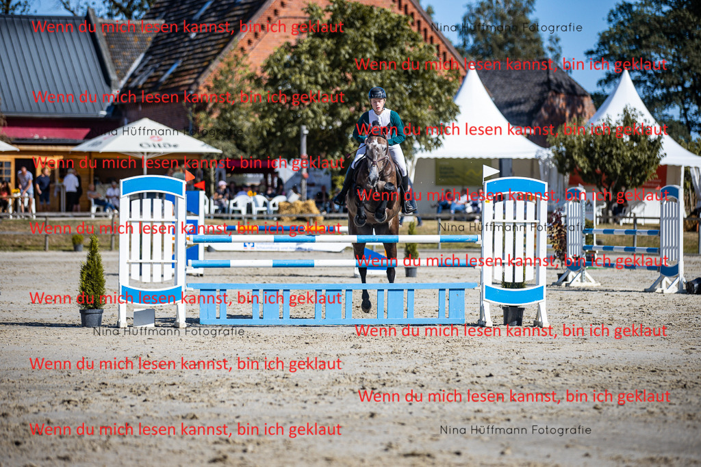 BK1A5746 | Turnierbilder Turnierfotos Nina Hüffmann Turnierfotografie Pferdefotografie Tierzeichnung Haustierzeichnung Pferdezeichnung Hundezeichnung Videograf  - Realisiert mit Pictrs.com