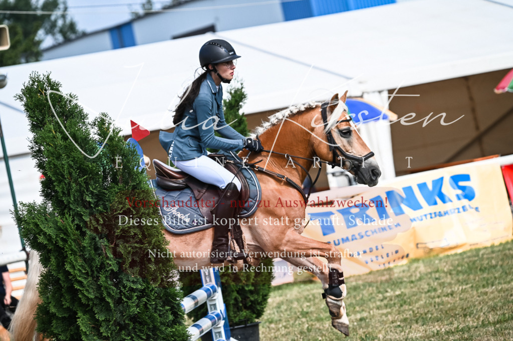 DSC_7923 | Pferde- und Turnierfotografie in Westsachsen. Pferdeportraits, Auftragszeichnungen und intuitive Kunst.