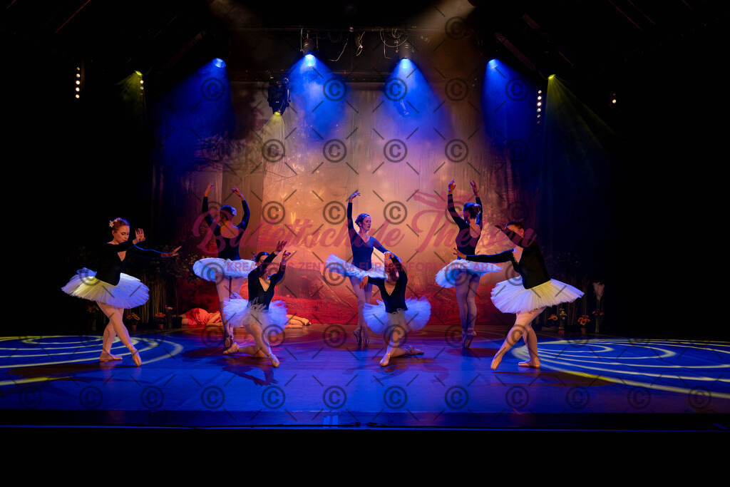 Ballettaufführung-583 | Bildershop Lem'n Entertainment - Realisiert mit Pictrs.com