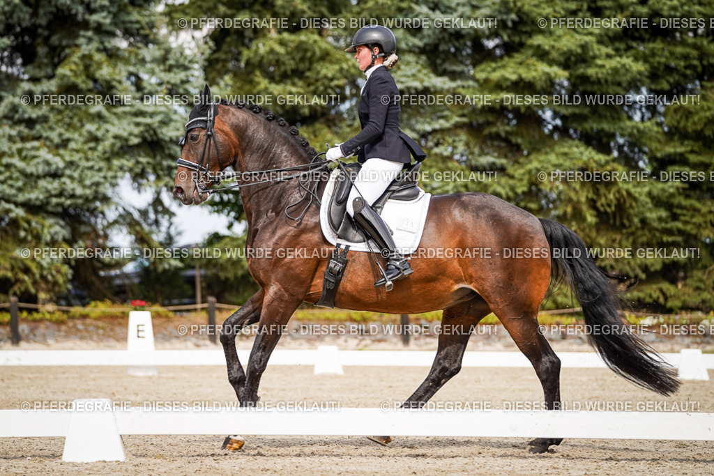 DSC06219 | Pferdegrafie