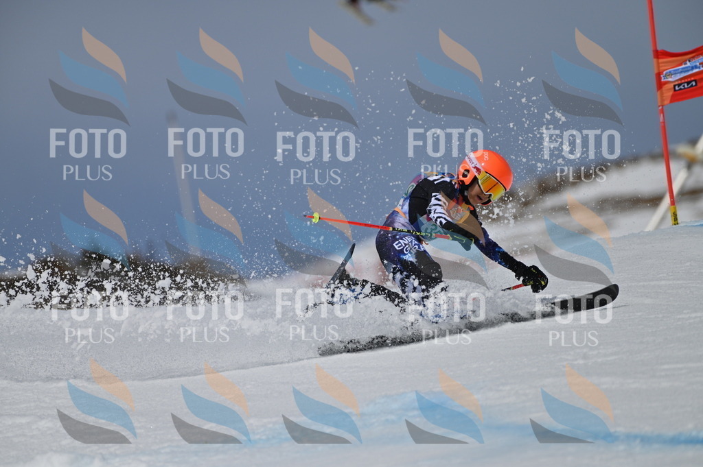 BGV_6924 | holidayphoto