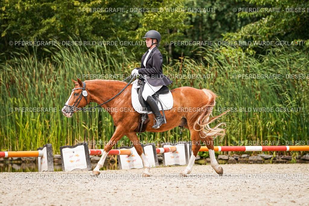 DSC04324 | Pferdegrafie