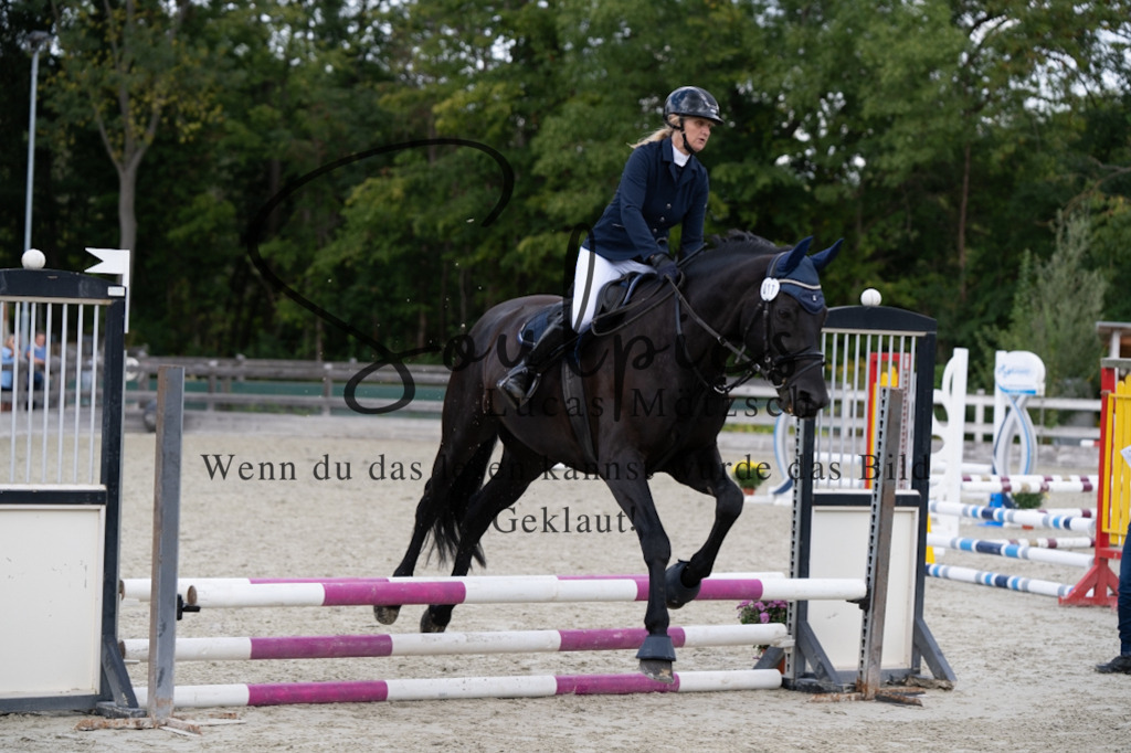 A7V07212 | Pferdefotograf