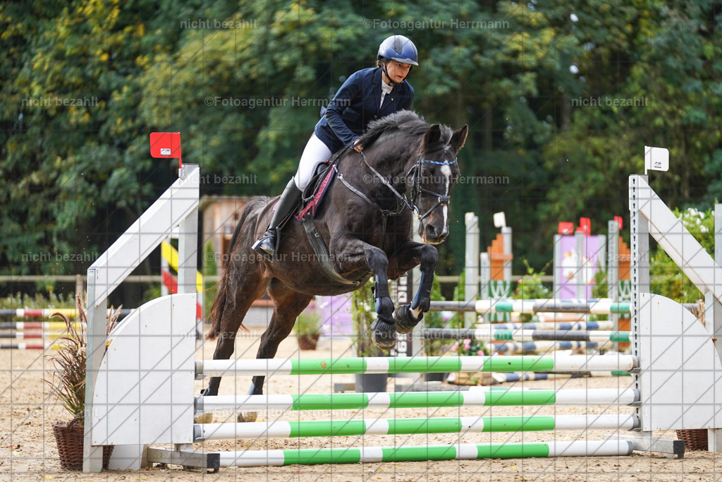 20221009-FAH08412 | Diessen am Ammersee, 2022, Dressur- und Springturnier, Reitsportbilder, Turnierfotografen Bayern, Pferdefotografen, Fotoagentur Herrmann, Turnierbilder