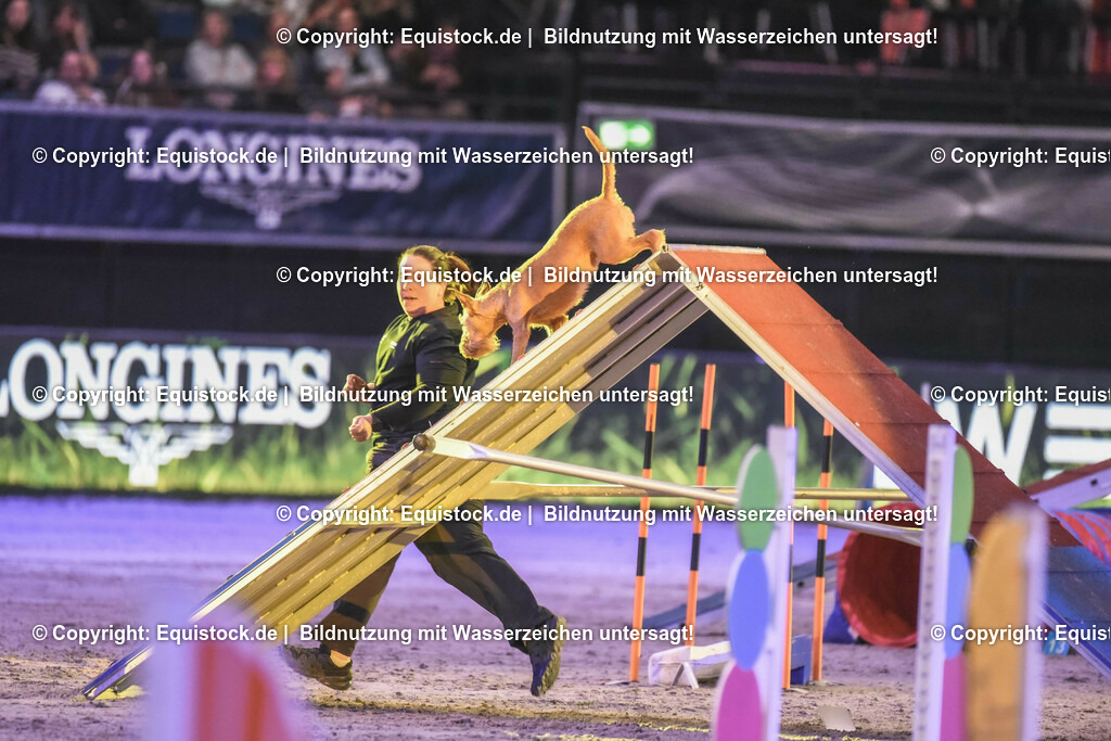 20231115_Dog-Agility_0109_TOMsPiC | Foto: Thomas Hartig