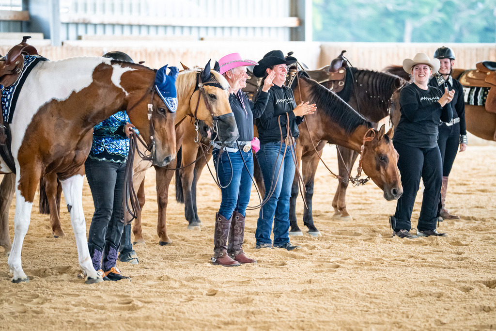 DSC09444 | Pferdegrafie