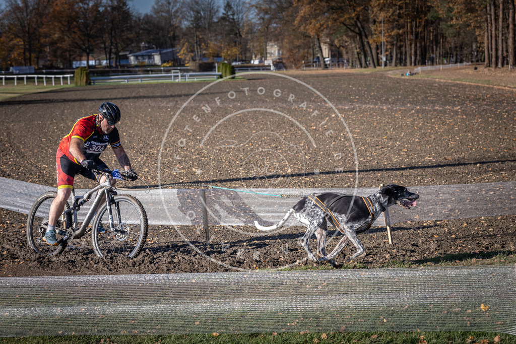 CaniXpix_DV3A6217 | Hundefotografie, Tierfotograf, Pfotenfotografie, Fotoshooting Hund, Hunde Portrait, Hundesport, Hundeportraits, Heideshooting, Hunde, Sportfotograf, Hundefotograf, Turnierhundsport, THS,  - Realisiert mit Pictrs.com