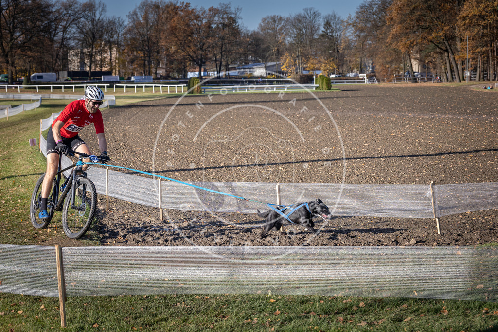 CaniXpix_DV3A3672 | Hundefotografie, Tierfotograf, Pfotenfotografie, Fotoshooting Hund, Hunde Portrait, Hundesport, Hundeportraits, Heideshooting, Hunde, Sportfotograf, Hundefotograf, Turnierhundsport, THS,  - Realisiert mit Pictrs.com