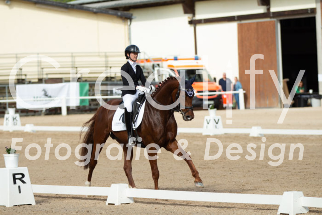 IMG_1083 | Creatify Fotografie